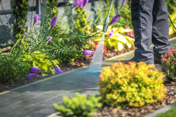 Best Patio and Deck Pressure Washing  in Martin, SD